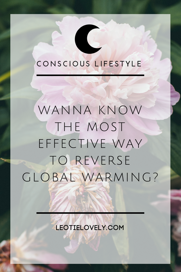climate action, planet positive, drawdown, reverse global warming, climate breakdown, refrigerants, green living, conscious living, Leotie Lovely, conscious lifestyle, zero waste, recycle, upcycle, ethical, sustainable