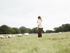 regenerative fashion, regenerative farming, regenerative agriculture